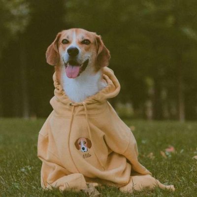 Transforming Your Pet into a Work of Art on Hoodie